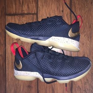 Nike Lebron XIV USA Basketball Shoes